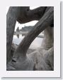 04 Ruby Beach - 04